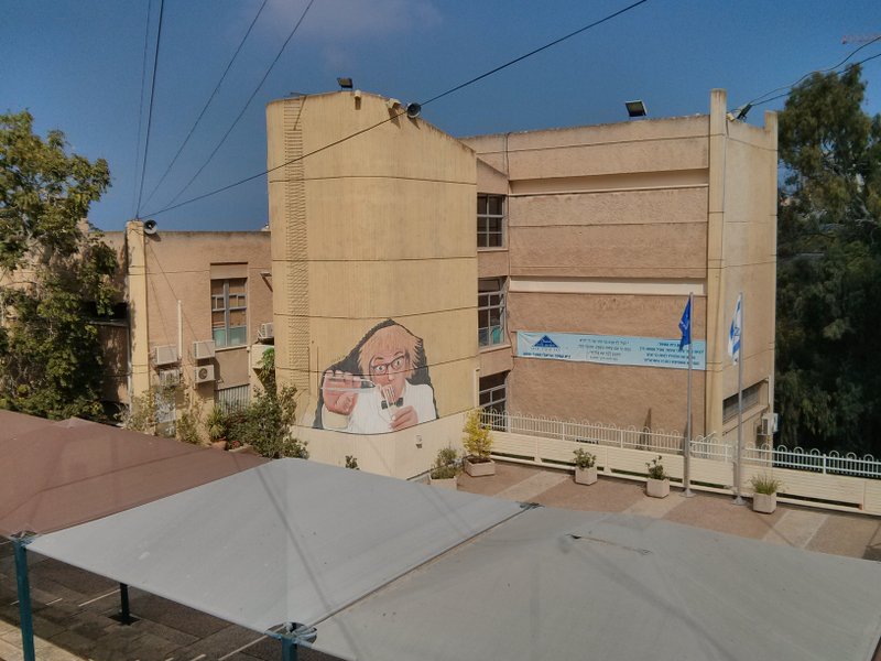 מרחב הנביטה: כיתות ה'-ח', אודיטוריום, אולם הספורט, מרכז מדעים