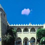 ריאלי הדר - מאה שנות ריאלי