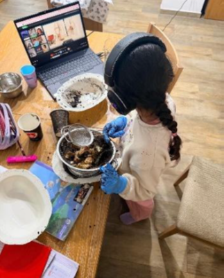 שיעור טבע סינון מים